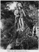 Tarzan ou la vie sauvage